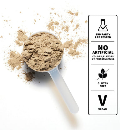Plant Protein | Chocolate  Nutrition