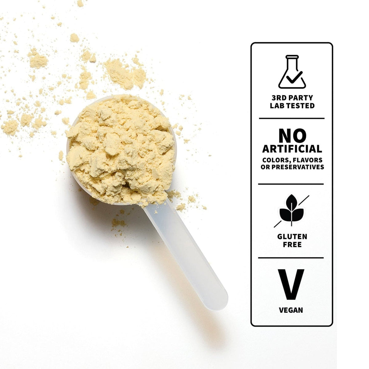 Plant Protein | Vanilla  Nutrition