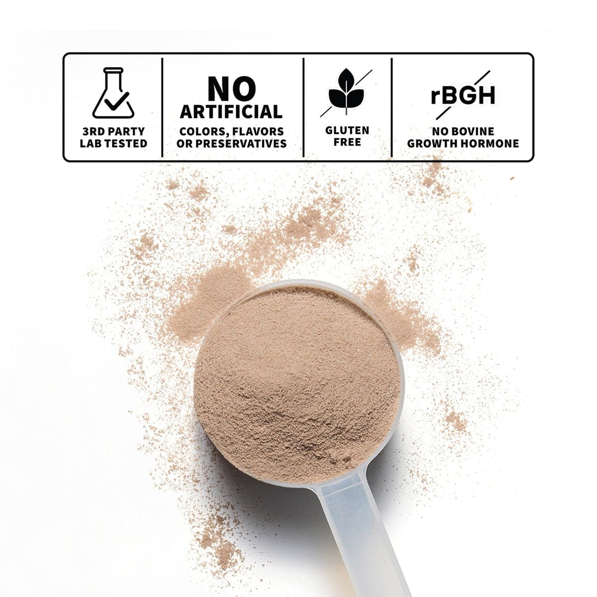 Grass-Fed Whey Protein Isolate | Chocolate  Nutrition